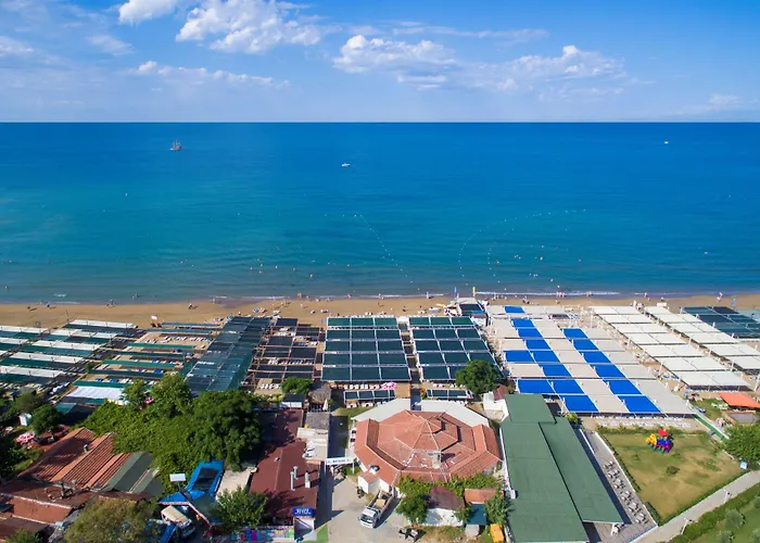 Alegria & (adults Only) Sidé