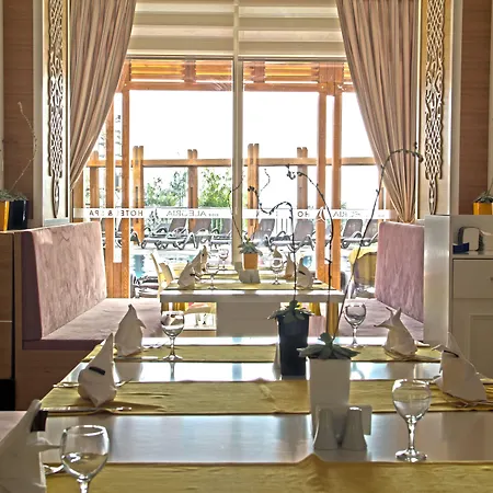 Alegria & (adults Only) Side