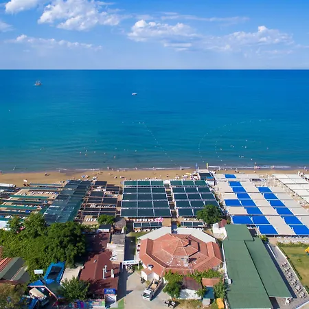 Alegria & (adults Only) Side